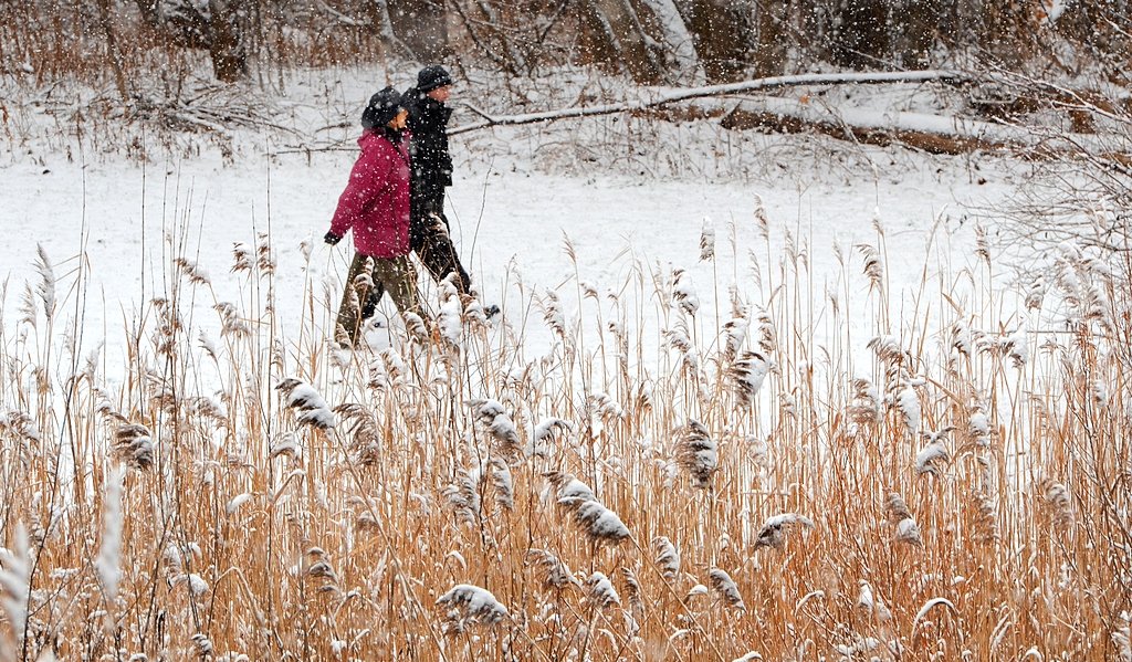 After two nor'easters, Upstate NY gets some lake effect snow
