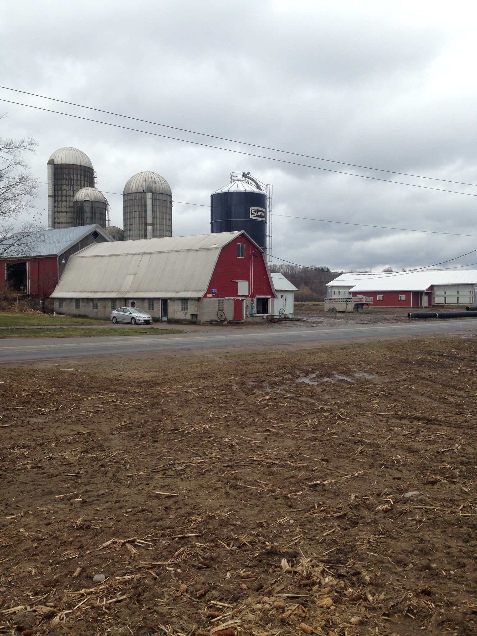 Senator calls for investigation into ICE raid on Rome area farm
