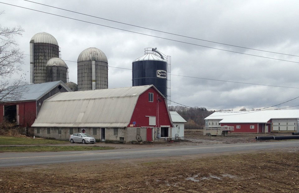Upstate NY farmer says ICE officers stormed his farm without a warrant, cuffed him, threw his phone