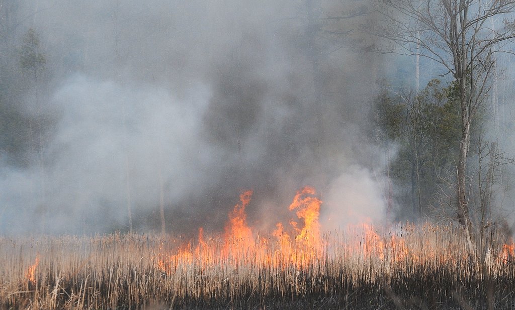 As wildfires break out in Upstate NY, state reminds residents of burn ban