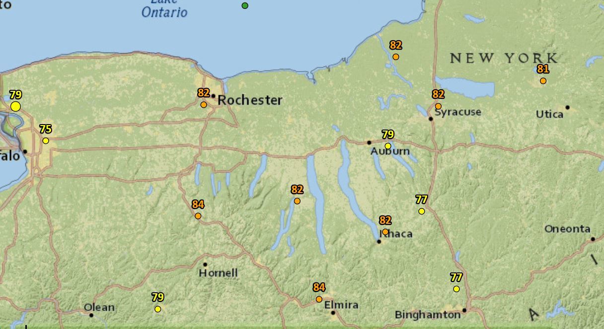Hello, July! After a dismal April, it feels like summer in Upstate NY
