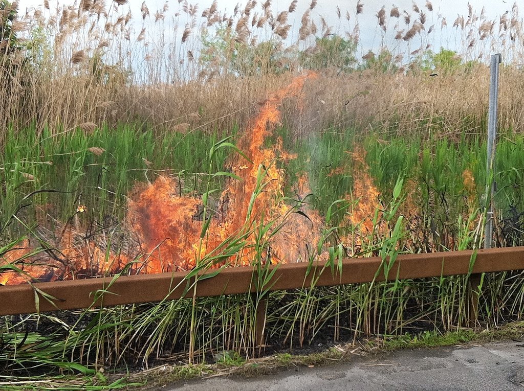 New York's spring burn ban ends, but most burning is still illegal