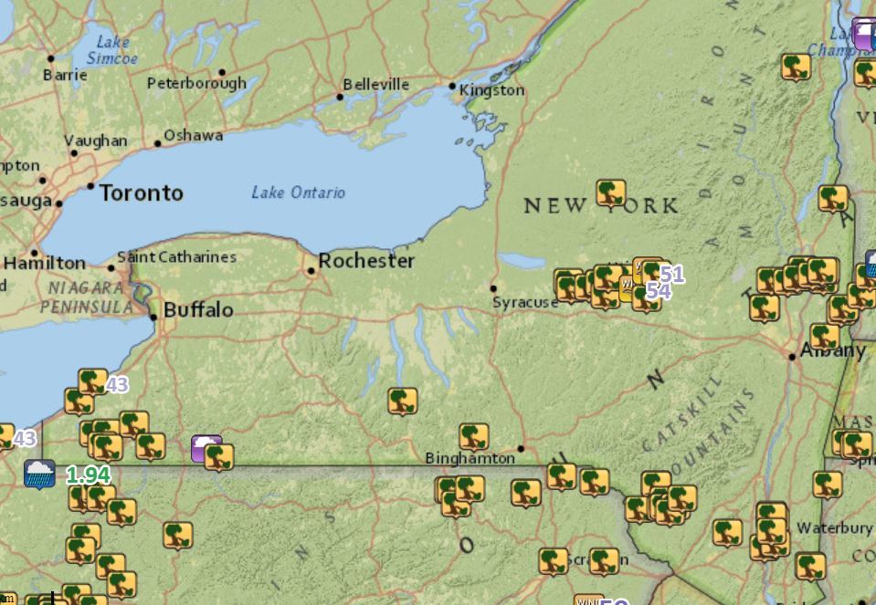 Storms downed dozens of trees in Upstate NY and collapsed a building (chart)