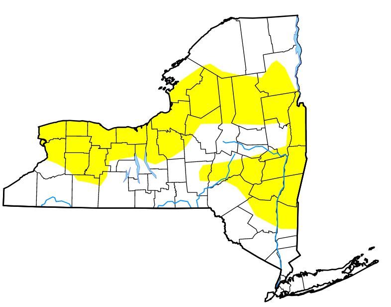 Nearly half of New York state is in pre-drought phase