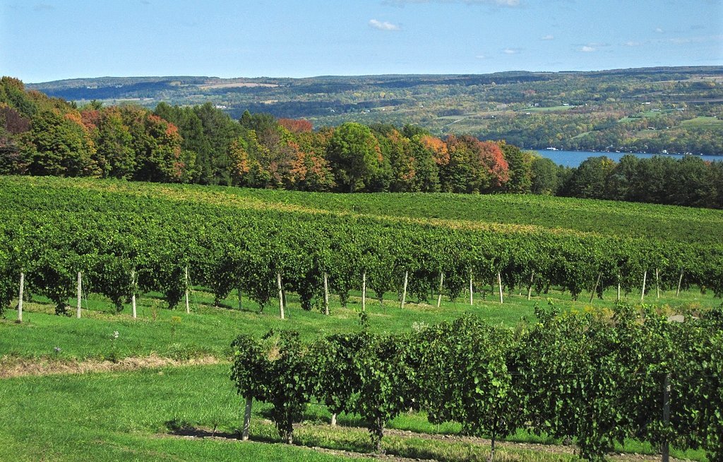 State rejects plans for liquid gas storage in caverns on Seneca Lake