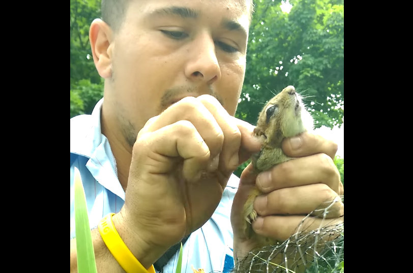 Syracuse mailman saves trapped chipmunk (see the viral video)