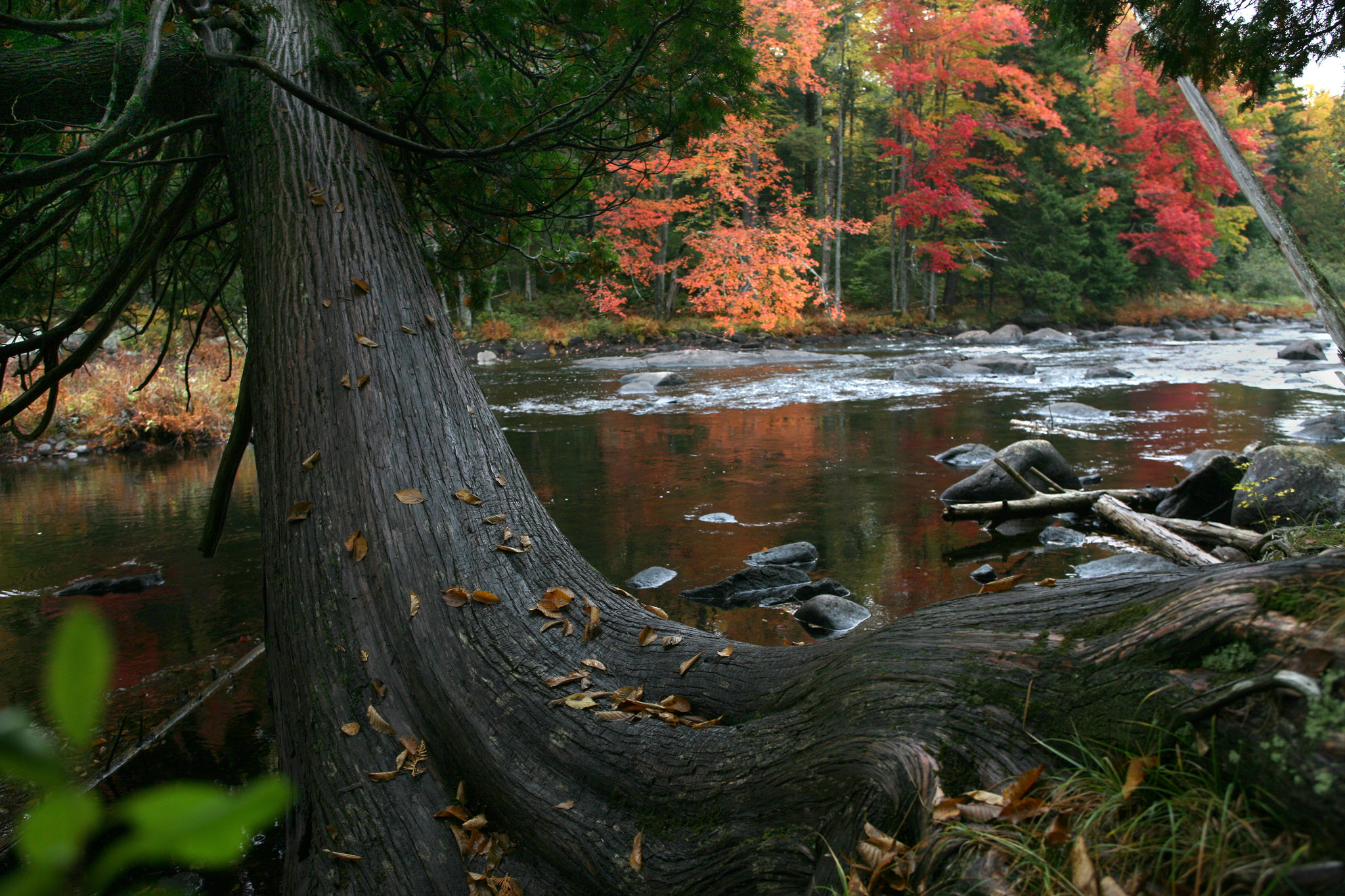 Man on family vacation dies swimming in Adirondacks, police say