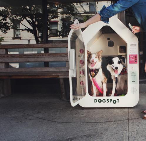 Don't have a hot dog on Thruway: Rest areas now offer air-conditioned dog houses