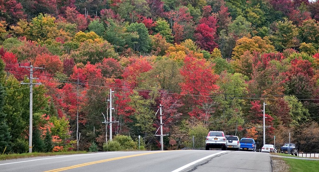 Upstate NY's warm summer likely to turn into warm fall and winter
