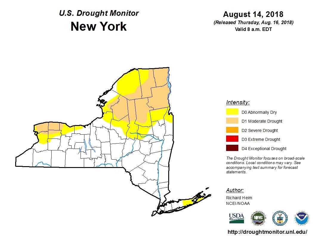Despite flooding rains in southern Upstate NY, drought persists in north
