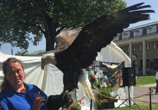 NYS Fair: Wings damaged by entangled fishing line, bald eagle now educates