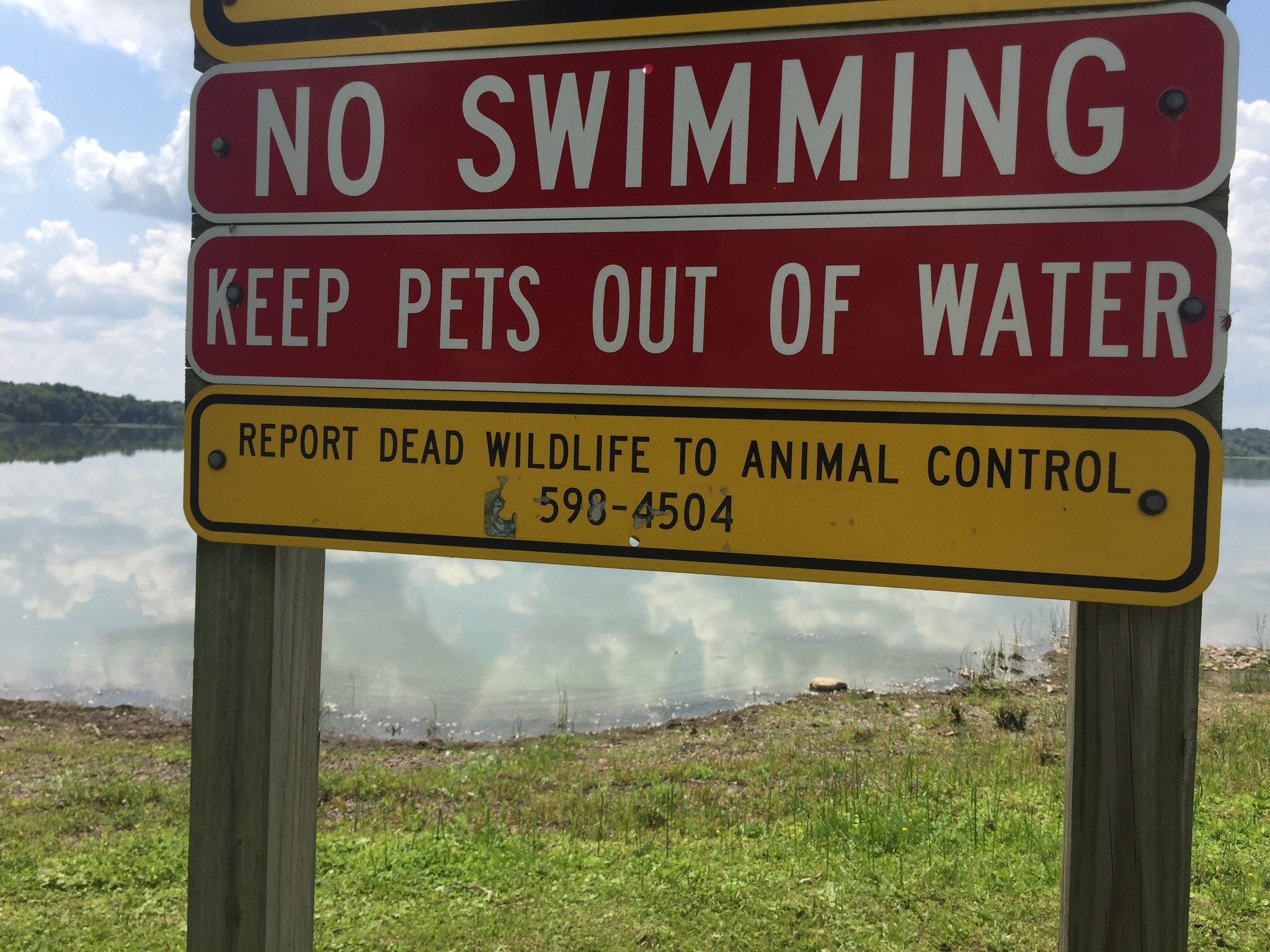 Toxic algae blooms in Upstate NY hit highest level this season