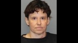 Erie County woman bites good Samaritan after fleeing traffic stop, troopers say