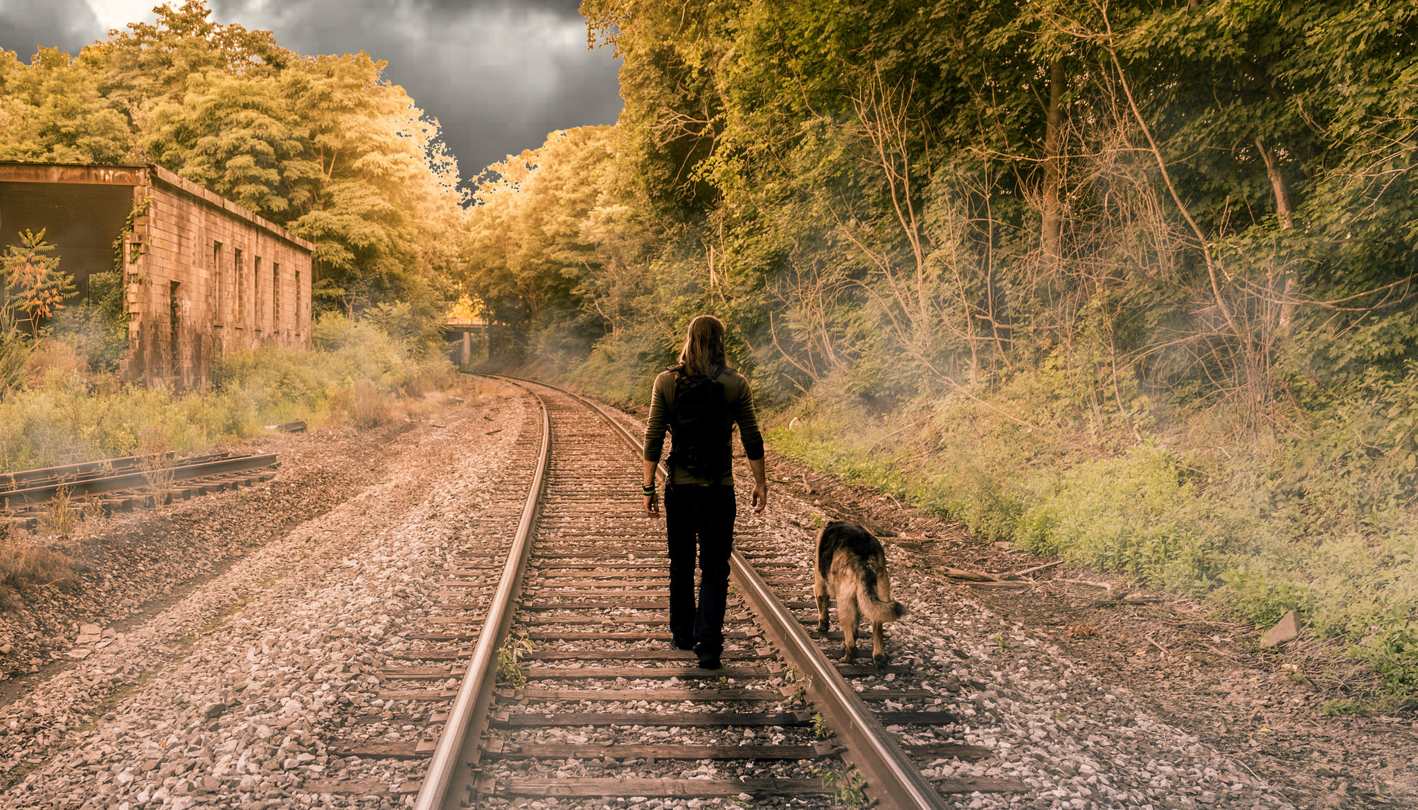 'A44': CNY zombie movie aims to be first mainstream, 100 percent vegan production