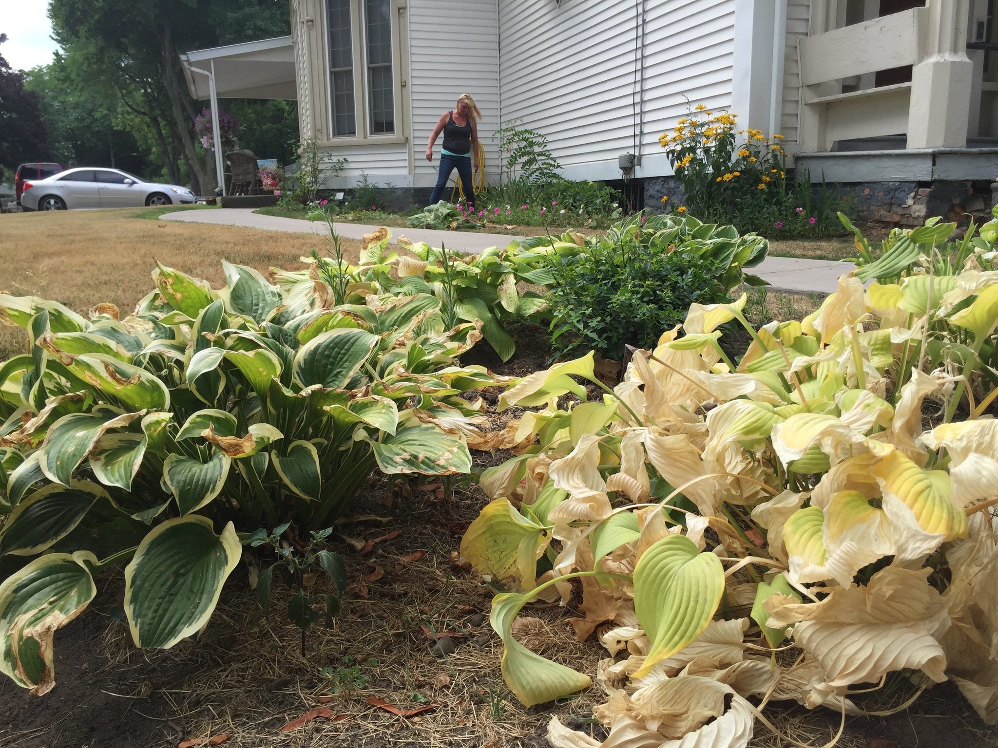 Drought barely budges in Upstate New York despite rainfall