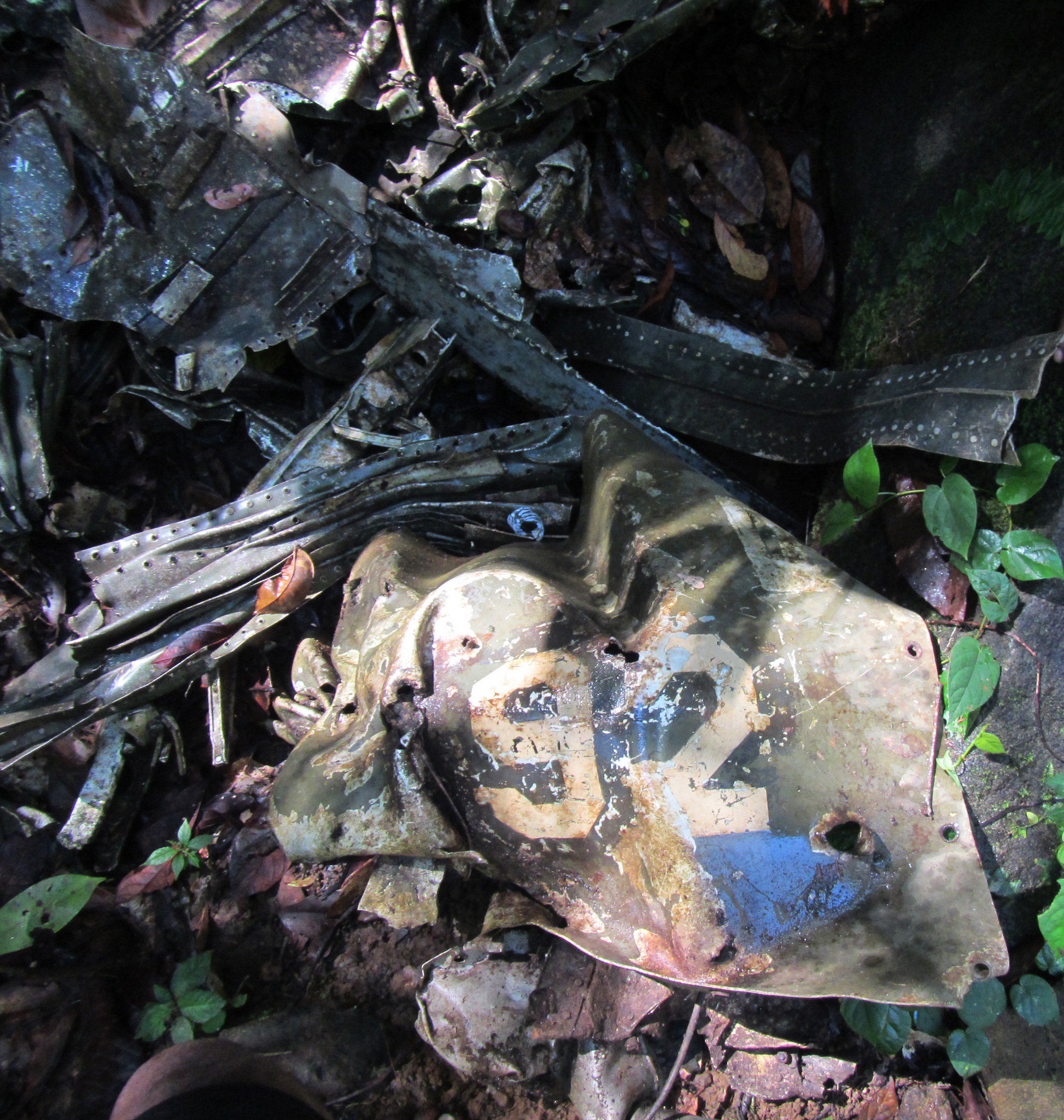 Outsiders join search for American WWII MIAs at Pentagon's request